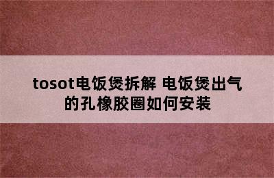 tosot电饭煲拆解 电饭煲出气的孔橡胶圈如何安装